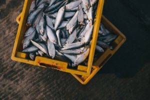 Supermercado Intermarché Almada - peixaria na Charneca de Caparica